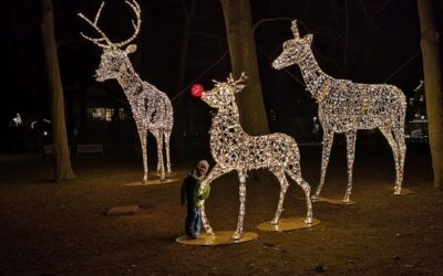 Ein gemeinsamer Weg: Die Entwicklung des Beleuchtungskonzepts für Kühlungsborn