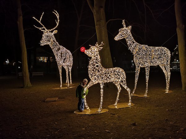 Ein gemeinsamer Weg: Die Entwicklung des Beleuchtungskonzepts für Kühlungsborn